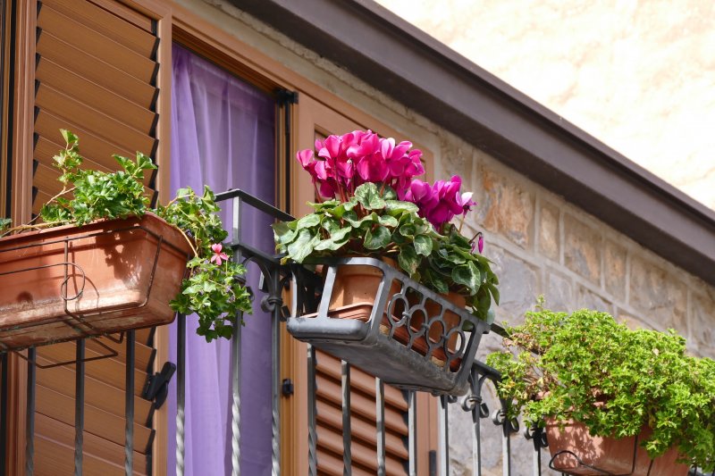 house-flower-window-home-porch-balcony-cottage-backyard-italy-facade-property-garden-flowers-interior-design-courtyard-estate-floristry-flower-box-balcony-plant-flower-boxes-terrace-flowers-outdoor-structu