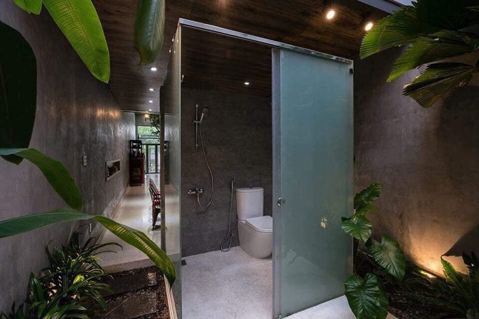 Композиция из небольших растений идеально подходит для ванной комнаты, напоминая густой тропический лес.