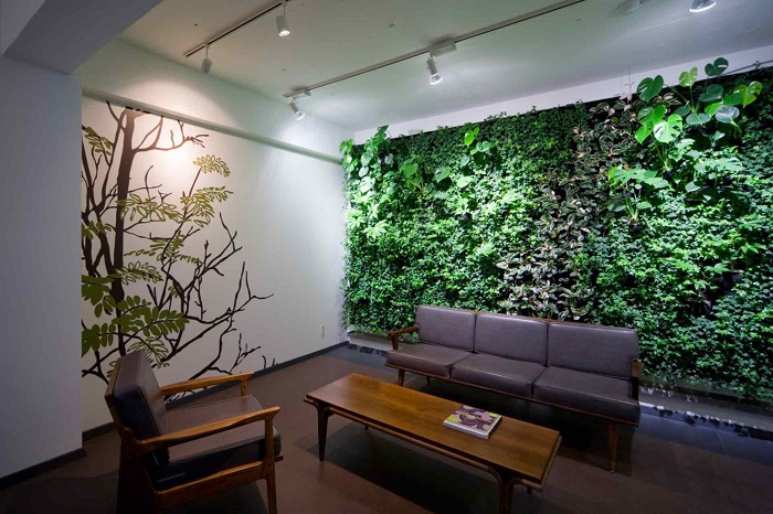 Вертикальное озеленение в помещении позволит создать собственный неповторимый и благоприятный микроклимат.