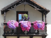 Оформление балкона однотипными цветочными композициями
