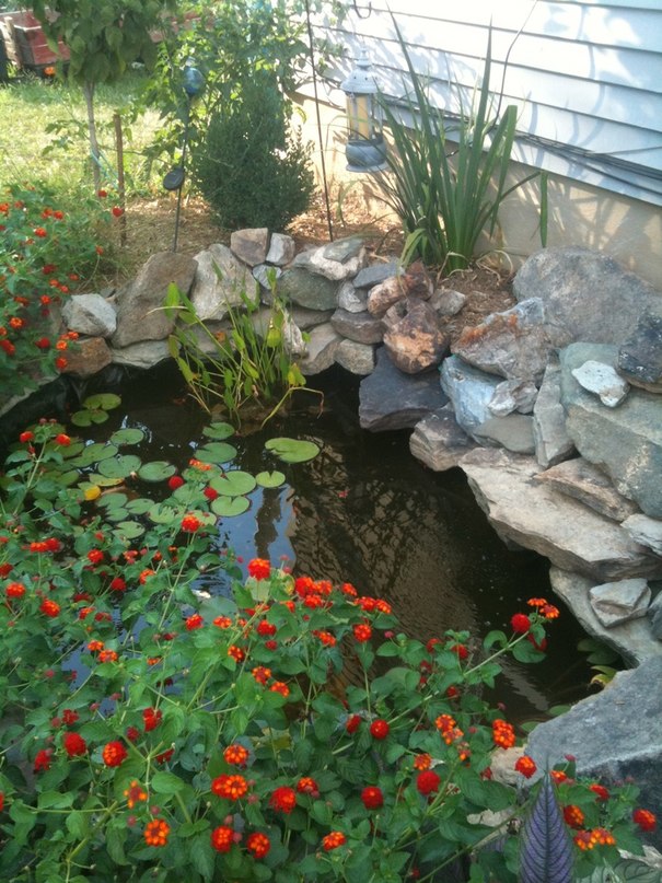 Оформление мини-пруда в саду