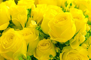 Желтые розы также являются не самым распространенным цветком.
