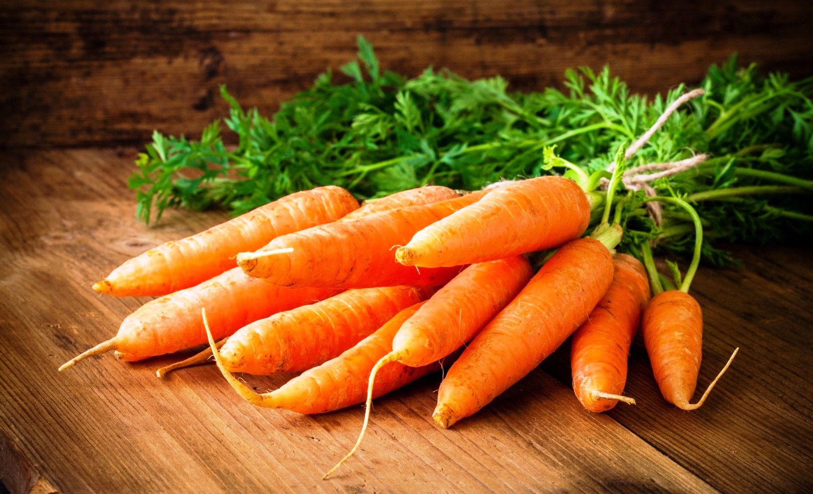 Результат пошуку зображень за запитом "морковь"