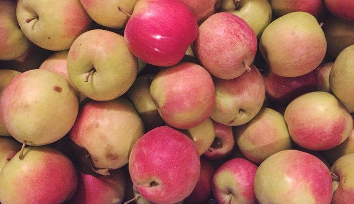 Что делать, если у тебя есть 200 кг яблок? Сидр, Крафт, Фотография, Процесс, Длиннопост