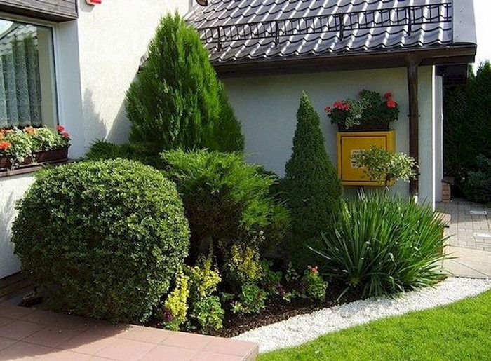 На изображении может находиться: растение, дерево, дом, трава, на улице и природа
